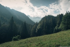 Clairière qui laisse entrevoir les Aravis (21 juillet 2019)