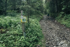 Arrivé à ce panneau, tourner à gauche sur le sentier non balisé (21 juillet 2019)