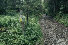 Arrivé à ce panneau, tourner à gauche sur le sentier non balisé (21 juillet 2019)