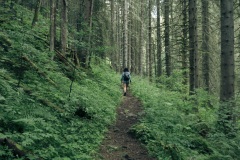 Le sentier continue dans la forêt (21 juillet 2019)