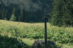 Suivre la direction de Méry (21 juillet 2019)