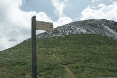 Suivre la piste qui part dans la pierraille (21 juillet 2019)