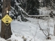 Suivre le balisage "Trail 10" dans la forêt (15 décembre 2018)