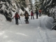 Montée dans la forêt (15 décembre 2018)