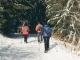 Le sentier continue dans la forêt de sapins (15 décembre 2018)