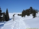 Au départ de la Croix-Fry le sentier qui amène au plateau de Beauregard (11 décembre 2007)