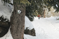 Suivre le balisage "Trail 10" dans la forêt (15 décembre 2018)