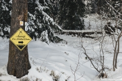 Suivre le balisage "Trail 10" dans la forêt (15 décembre 2018)