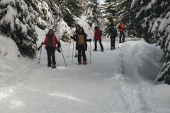 Montée dans la forêt (15 décembre 2018)