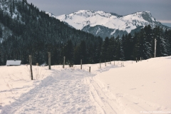 Sentier piéton que l'on emprunte (15 décembre 2018)