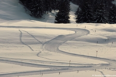 Piste de ski de fond (15 décembre 2018)