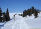 Au départ de la Croix-Fry le sentier qui amène au plateau de Beauregard (11 décembre 2007)