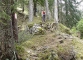 Sentier dans la forêt