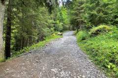 Le sentier continue dans la forêt (30 juillet 2023)