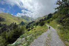 Le sentier sort de la forêt (30 juillet 2023)