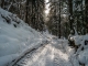 Montée dans la forêt (22 janvier 2016)