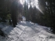 Sentier au départ des Granges (22 février 2009)