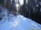 Sentier au départ des Granges (15 janvier 2006)