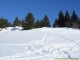 Sentier dans la fraiche (15 janvier 2006)