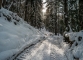 Montée dans la forêt (22 janvier 2016)