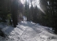 Sentier au départ des Granges (22 février 2009)