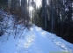 Sentier au départ des Granges (15 janvier 2006)