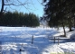 Dans la forêt (15 janvier 2006)