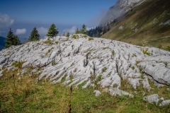 Lapiaz un peu avant le Lac de la Case (15 septembre 2018)