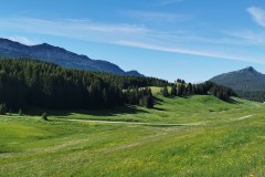 Vue sur le chemin à suivre à droite après le mémorial (26 juin 2021)