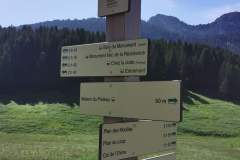 Suivre "Plan des Mouilles, Col de l'Ovine" (26 juin 2021)