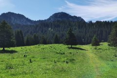 En direction du plan des Mouilles (26 juin 2021)