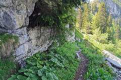 Sentier le long des falaises (26 juin 2021)