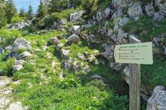 Col de l'Ovine. Suivre "Pointe de Puvat" (26 juin 2021)