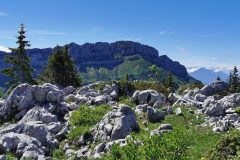 En haut du col de L'Ovine (26 juin 2021)