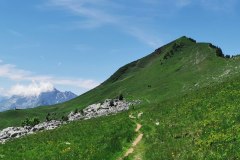 Sentier pour rejoindre la Pointe de la Québlette. Au poteau devant les rochers, couper à droite pour rejoindre la crête (26 juin 2021)