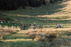 Départ du sentier (3 novembre 2018)