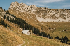 La Pointe de Chavasse en arrière-plan (3 novembre 2018)