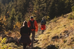 Le sentier sort à plusieurs reprises du bois (3 novembre 2018)