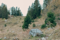 Arrivée dans la petite combe juste avant le Col de Cordon (3 novembre 2018)