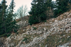 Sentier montant vers la Pointe de Rovagne (3 novembre 2018)