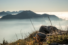 Vue sur le Môle en arrière plan (3 novembre 2018)