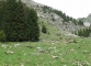La forêt qu'il faut longer (30 mai 2009)