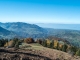 Vue sur le Léman depuis le sentier qui était autrefois en sous-bois (15 octobre 2017)