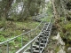 Escalier métallique (28 mai 2006)