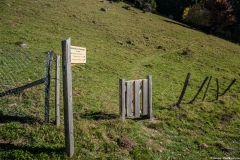 Départ du sentier (15 octobre 2017)