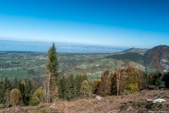 Vue sur le Léman depuis le sentier qui était autrefois en sous-bois (15 octobre 2017)