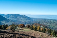 Vue sur le Léman depuis le sentier qui était autrefois en sous-bois (15 octobre 2017)