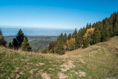 Vue sur le Léman depuis le Col de l'Aiguille (15 octobre 2017)