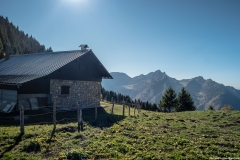 Arrivée au Col de Nicodex (15 octobre 2017)