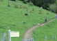 Départ du sentier (28 mai 2006)